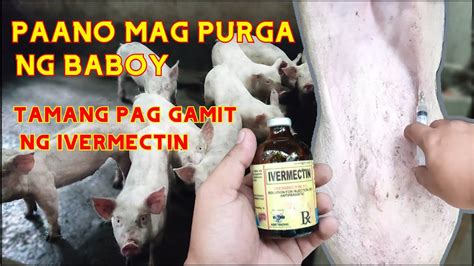 purga ng baboy|Doctor ng Baboy sa Pilipinas .